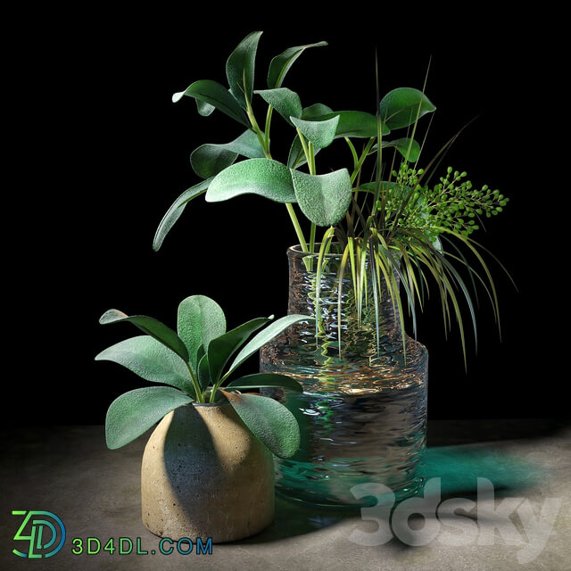Plant set 04 3D Models