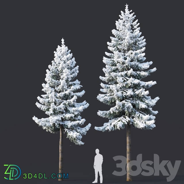 Spruce 6 Two sizes H8 10m. Modular branches 3D Models