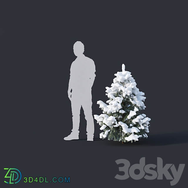 Pinus sylvestris 11 H1m 3m Winter Five tree set 3D Models