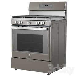 FGas Range with Griddle 
