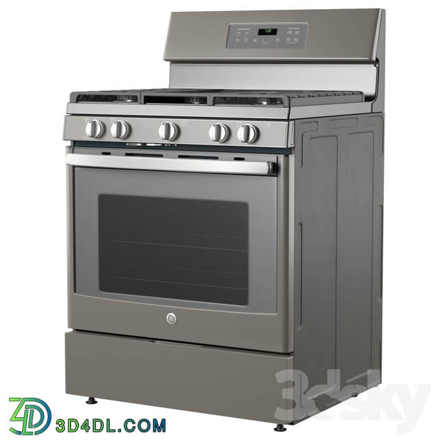 FGas Range with Griddle