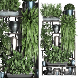 Plant Collection 371. Shelf with flowers ficus lyrata monstera flowerpot greenery vertical garden phytowall phytomodule pots eco design Scandinavian style 3D Models 