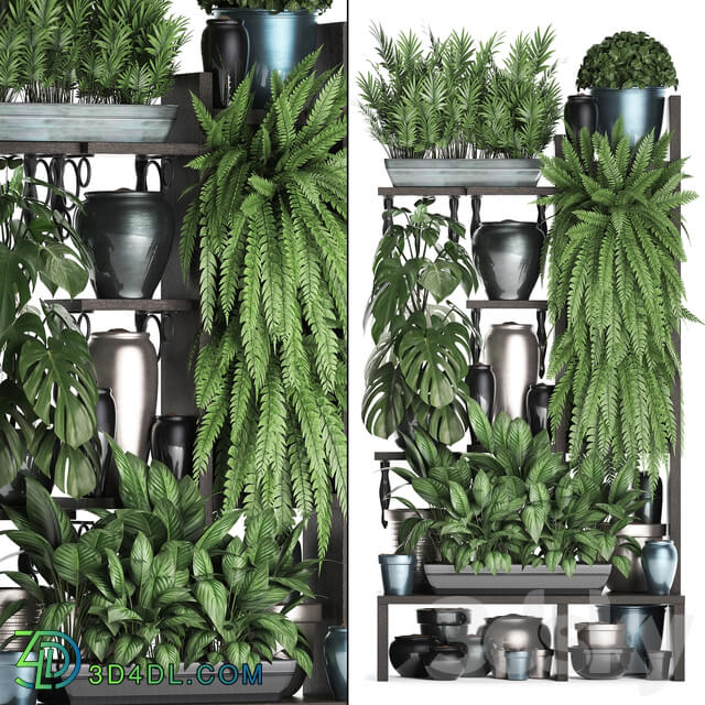 Plant Collection 371. Shelf with flowers ficus lyrata monstera flowerpot greenery vertical garden phytowall phytomodule pots eco design Scandinavian style 3D Models