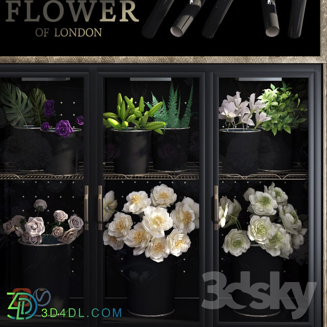 Flower Shop refrigerated display