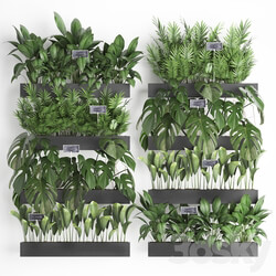 Vertical gardening. 41. Shelf with flowers monstera areca palm tree indoor plants black tiles phytowall phytomodule eco design vertical garden Fitowall 3D Models 