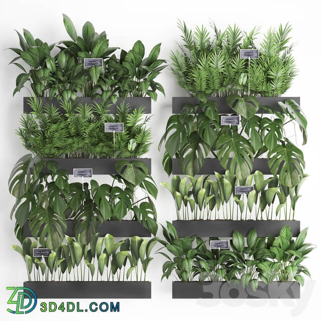 Vertical gardening. 41. Shelf with flowers monstera areca palm tree indoor plants black tiles phytowall phytomodule eco design vertical garden Fitowall 3D Models