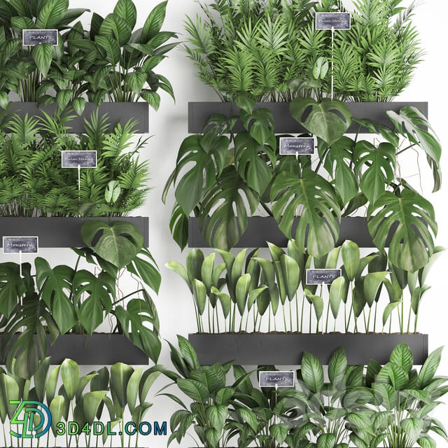 Vertical gardening. 41. Shelf with flowers monstera areca palm tree indoor plants black tiles phytowall phytomodule eco design vertical garden Fitowall 3D Models