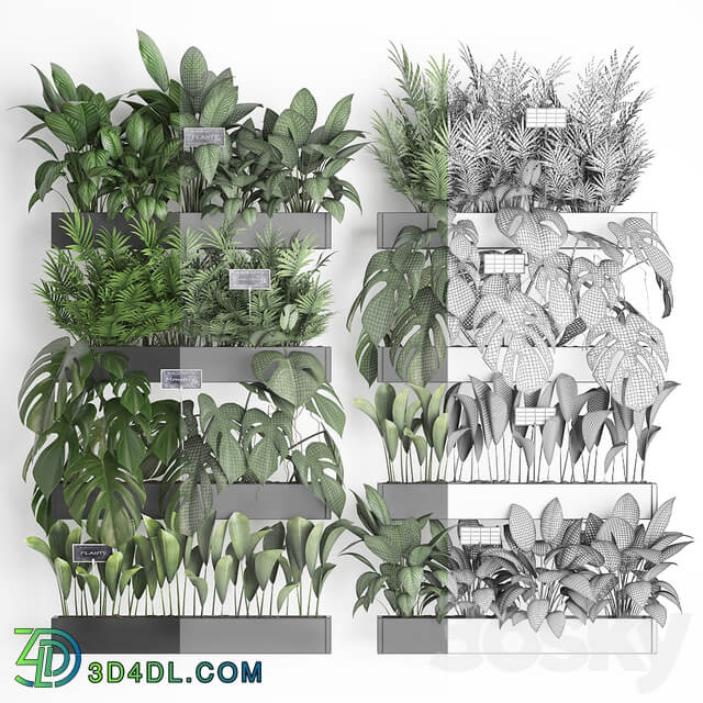 Vertical gardening. 41. Shelf with flowers monstera areca palm tree indoor plants black tiles phytowall phytomodule eco design vertical garden Fitowall 3D Models