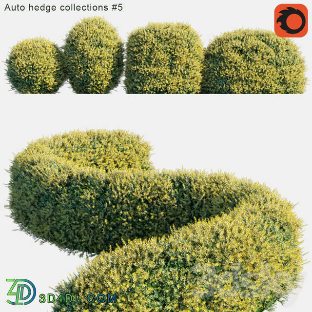 Auto hedge collections 5 3D Models