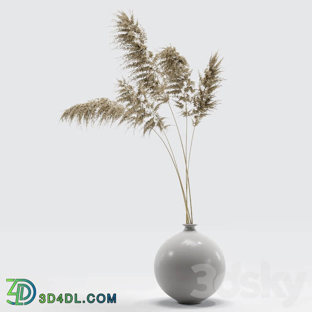 Vase with dried flowers 0002