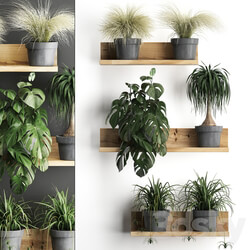 Vertical gardening. 48 Shelf with flowers monstera dracaena Chlorophytum indoor plants eco design 3D Models 
