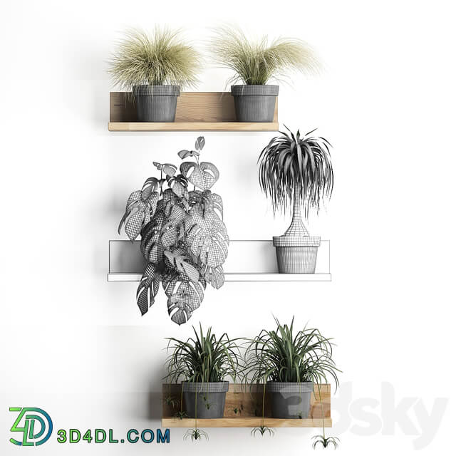 Vertical gardening. 48 Shelf with flowers monstera dracaena Chlorophytum indoor plants eco design 3D Models
