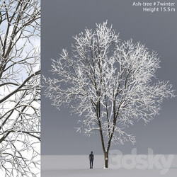 Ash winter 3D Models 
