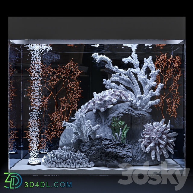 Marine aquarium