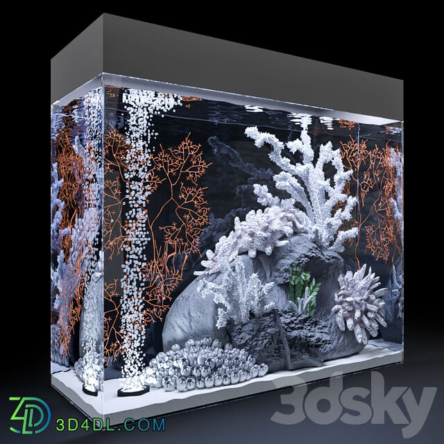 Marine aquarium