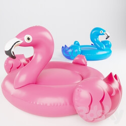 Miscellaneous Swimming Flamingo 