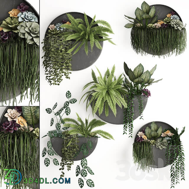 Vertical gardening. 56 Garden wall decor ferns succulents black metal shelf flowers loft hanging plants hanging down Fitowall 3D Models