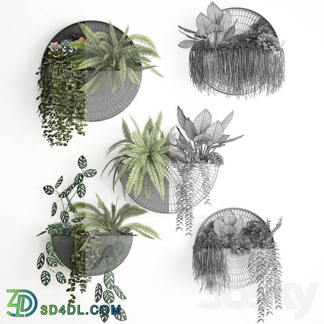 Vertical gardening. 56 Garden wall decor ferns succulents black metal shelf flowers loft hanging plants hanging down Fitowall 3D Models