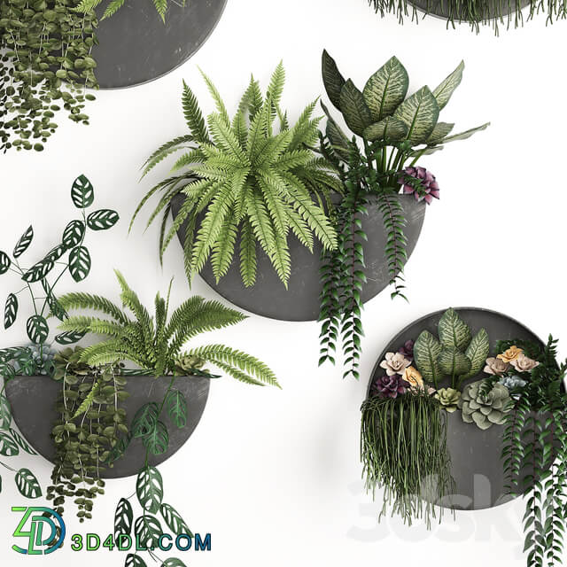 Vertical gardening. 56 Garden wall decor ferns succulents black metal shelf flowers loft hanging plants hanging down Fitowall 3D Models