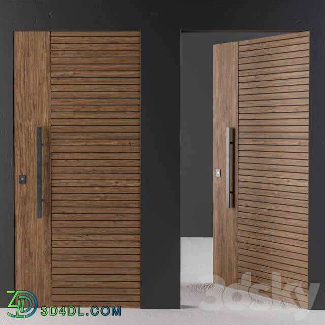 Frameless Door 2Type Minimal