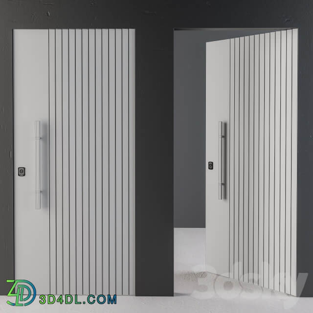 Frameless Door 2Type Minimal