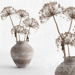Hogweed in a clay vase 