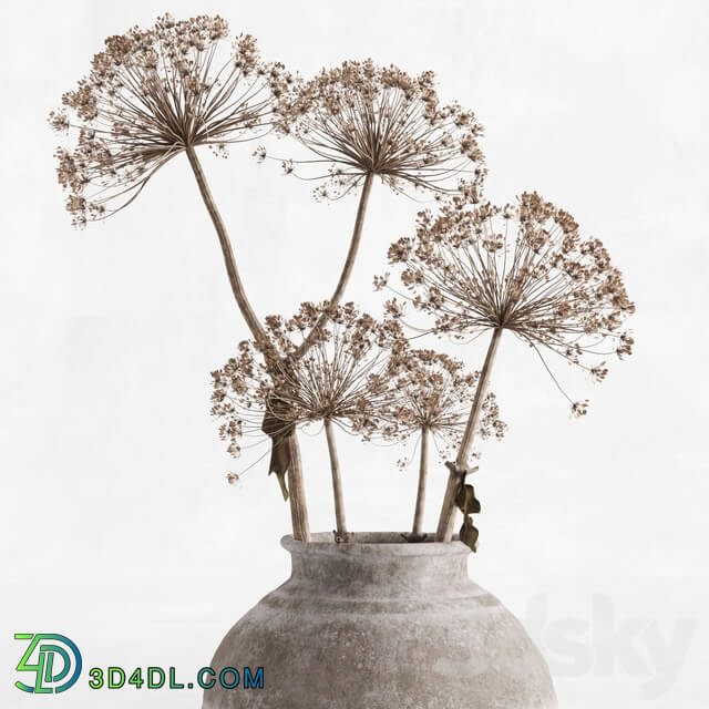 Hogweed in a clay vase