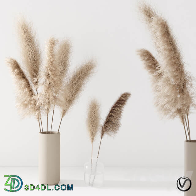 Set of pampas in vase