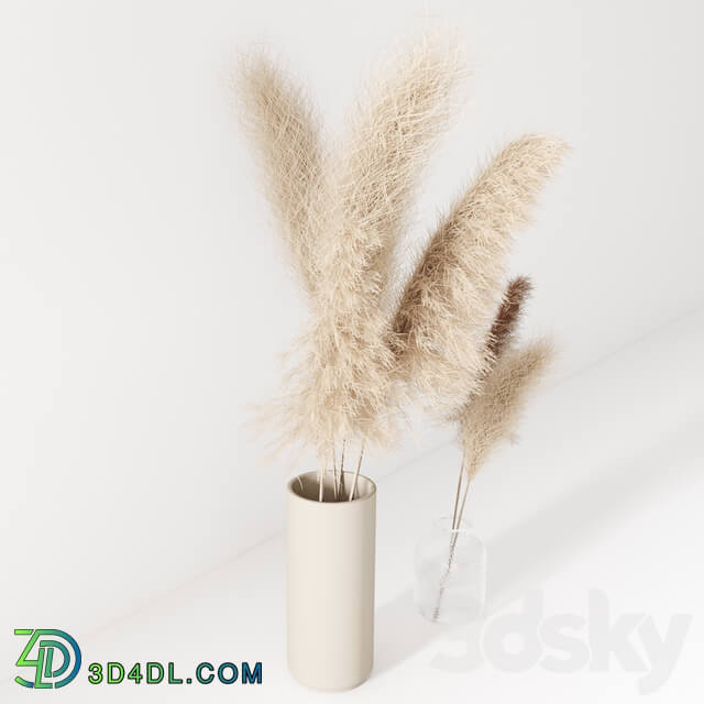 Set of pampas in vase