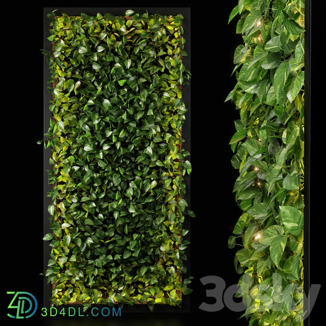 Fitowall vertical garden 10