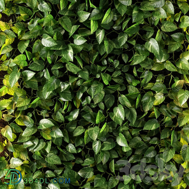 Fitowall vertical garden 10