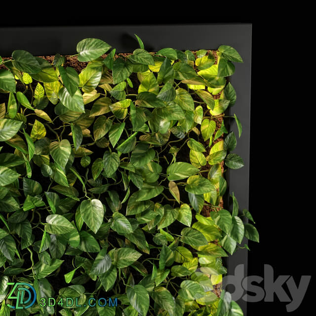 Fitowall vertical garden 10