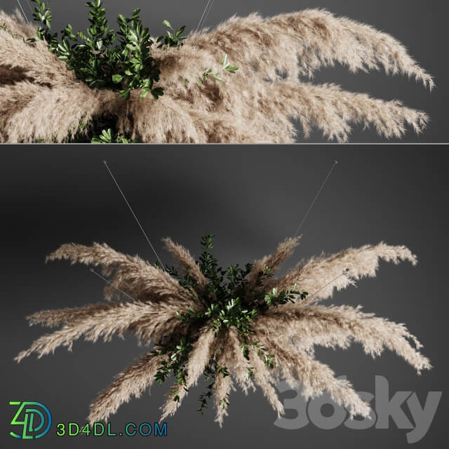 Pampas grass chandelier 01 Pendant light 3D Models