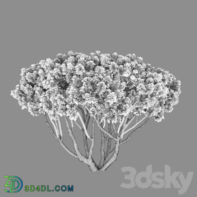 Pine Bush 3D Models