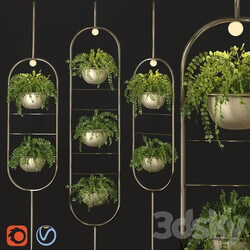 Fitowall Metal hanging lamp Indoor Plant partition 