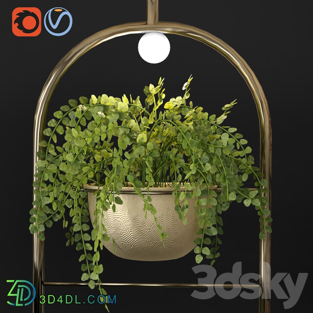 Fitowall Metal hanging lamp Indoor Plant partition