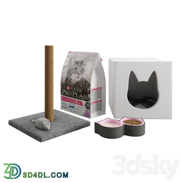 Accessories for cats 01