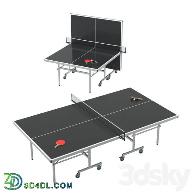 Brunswick Indoor Outdoor Tournament Table Tennis