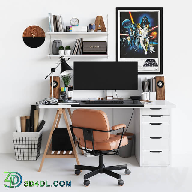 Office furniture Workplace set with decor. Sk 1