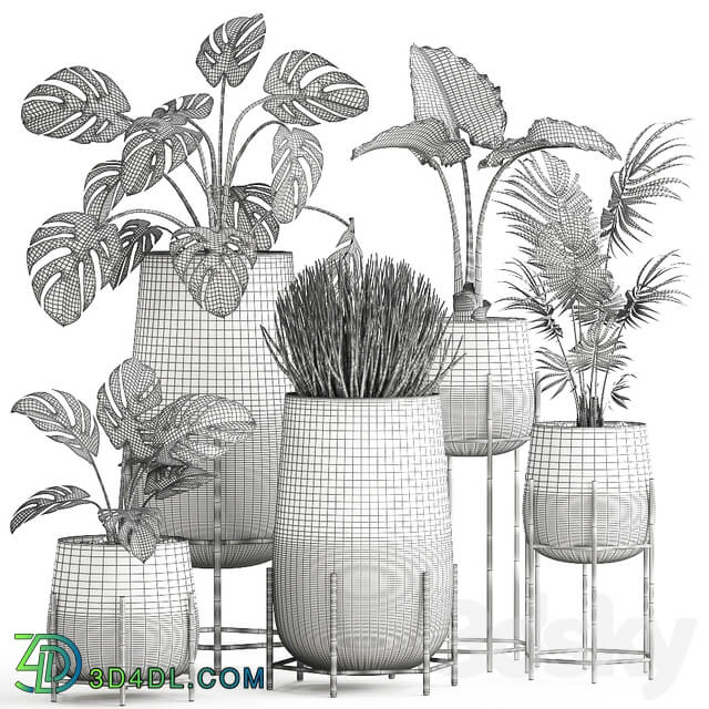 Plant Collection 547. 3D Models