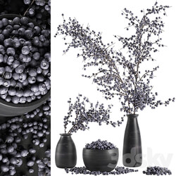 Bouquet of branches with berries 549. Branches berries blueberries blueberries bowl with berries natural decor eco design vase 3D Models 