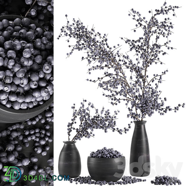 Bouquet of branches with berries 549. Branches berries blueberries blueberries bowl with berries natural decor eco design vase 3D Models