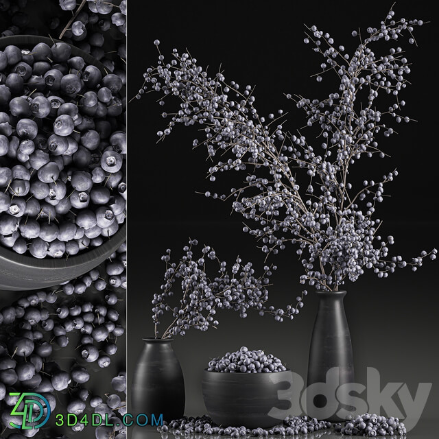 Bouquet of branches with berries 549. Branches berries blueberries blueberries bowl with berries natural decor eco design vase 3D Models