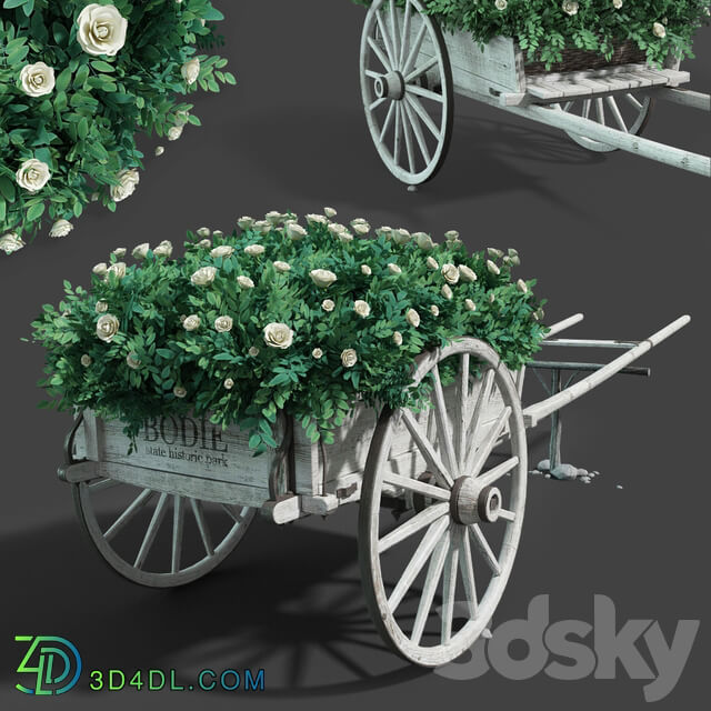 Cart with flowers