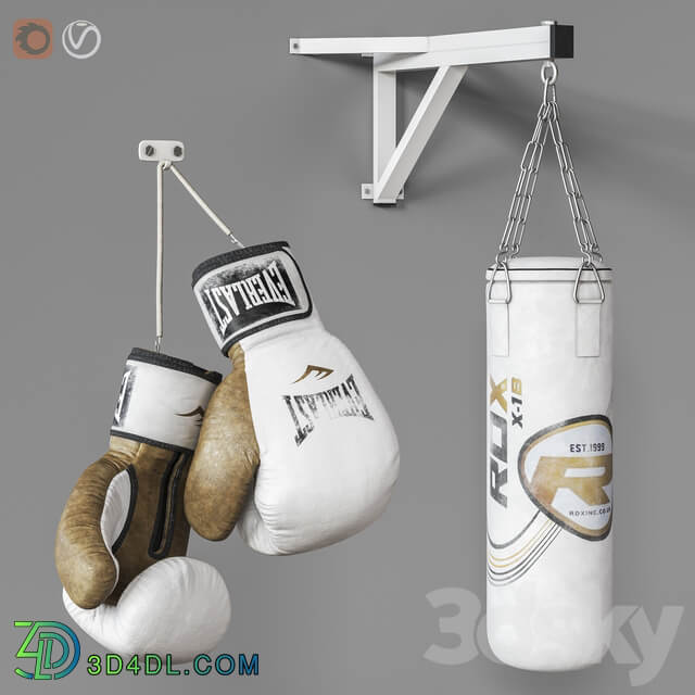 Sports boxing set