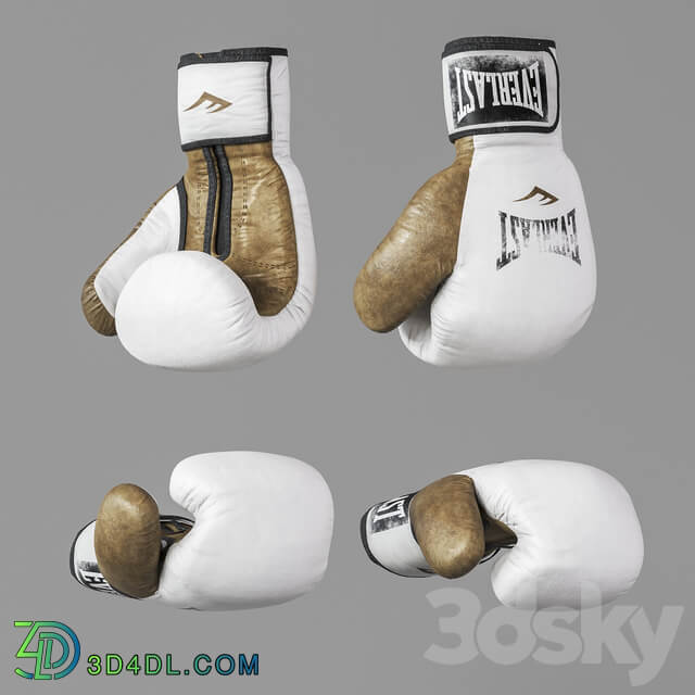 Sports boxing set