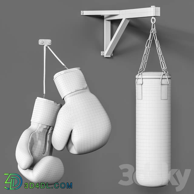 Sports boxing set