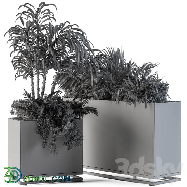 Plant box metal compact04