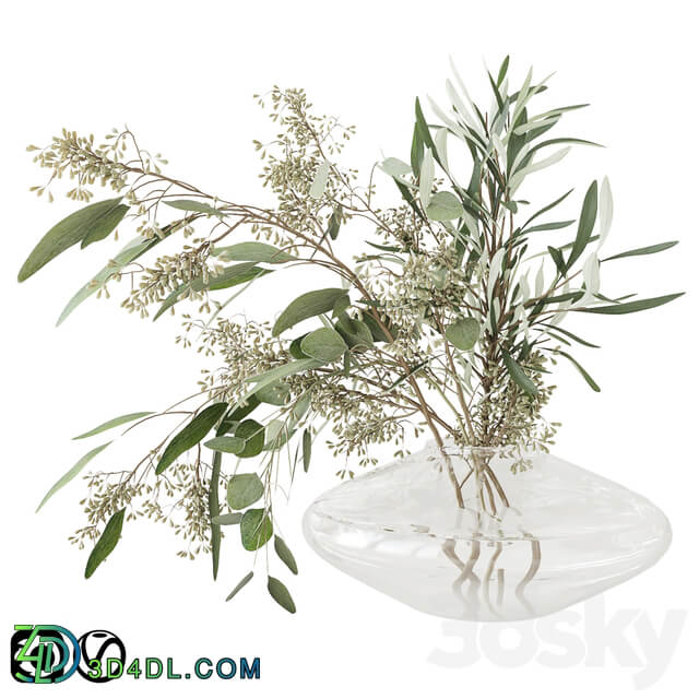 Eucalyptus bouquet