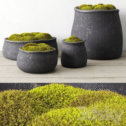 Crosshatch concrete vessel collection with moss 
